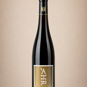 1 AHR VDP 2020 - Nelles