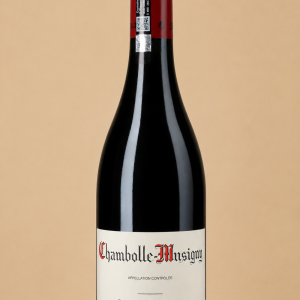 Chambolle-Musigny 2023