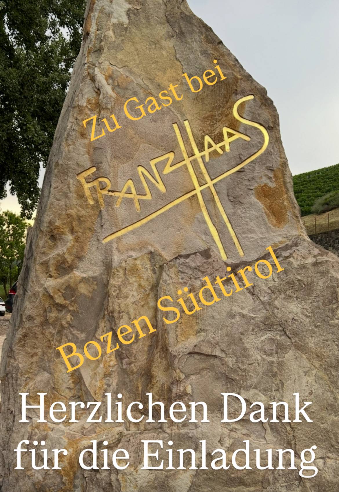 Abidin Kekec bei einer Weinverkostung mit Gaesten fuer die vinothek weinbar bonn
